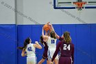 WBBall vs Springfield  Wheaton College Women's Basketball vs Springfield College. - Photo By: KEITH NORDSTROM : Wheaton, basketball